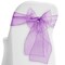 Lann's Linens - 10 Elegant Organza Wedding/Party Chair Cover Sashes/Bows - Ribbon Tie Back Sash